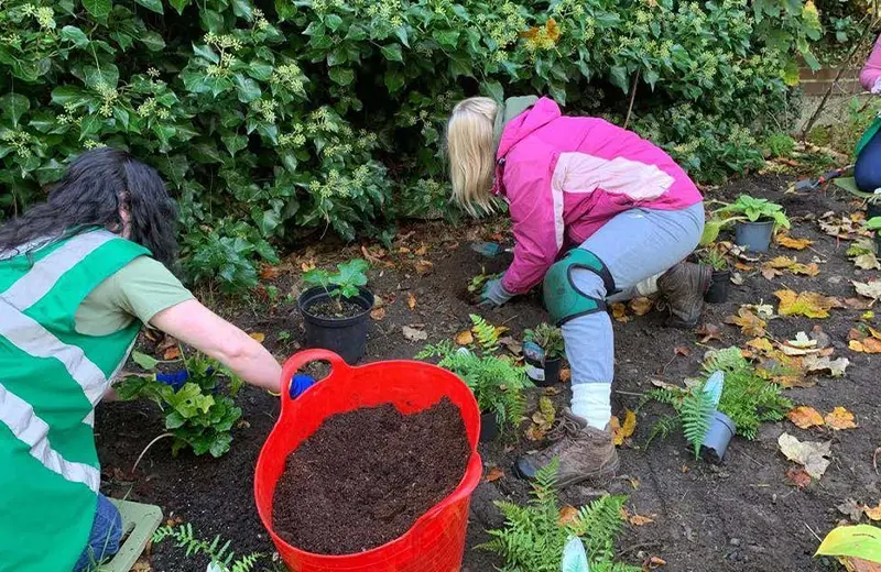 Green & Sustainable Initiatives